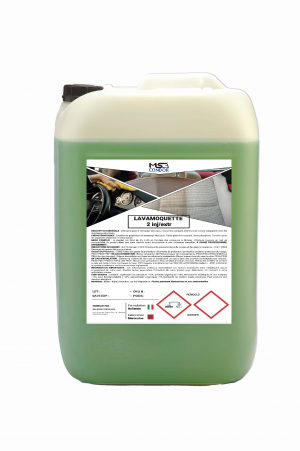 https://msagroupcondor.com/wp-content/uploads/2025/02/LAVAMOQUETTE-INJ-EXTR-300x451.png