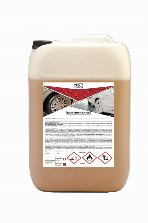 https://msagroupcondor.com/wp-content/uploads/2025/02/MOTORWASH-SC-300x451.png